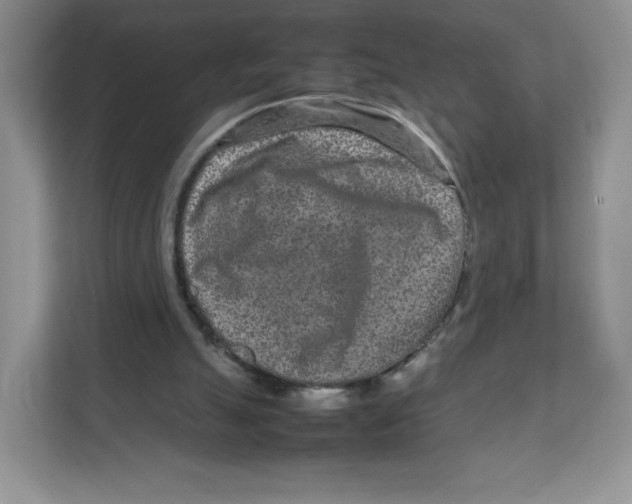 X0000111190055200907291212