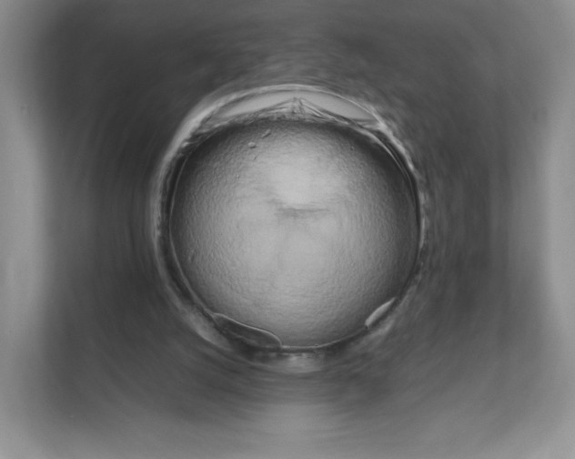 X0000111190056200907291212