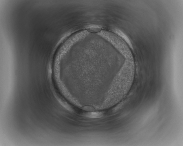 X0000111190059200907291212