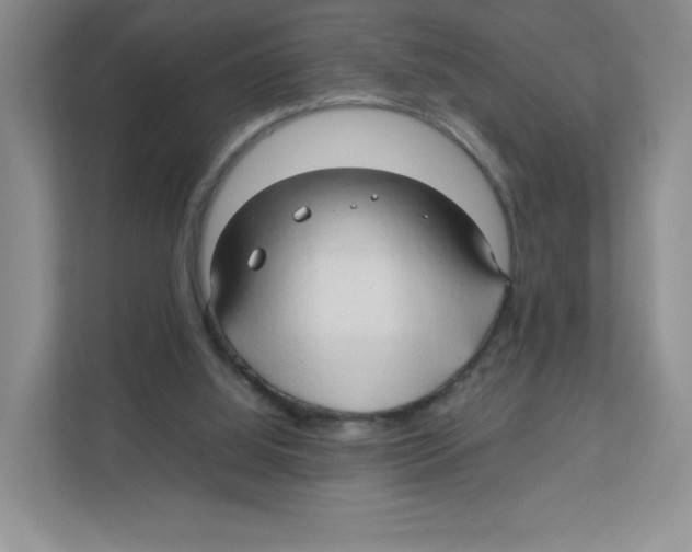 X0000111190060200907291212