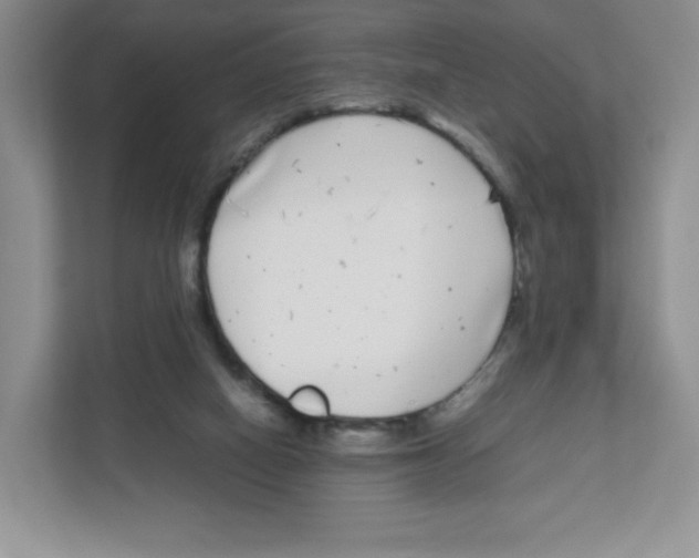 X0000111190066200907291212
