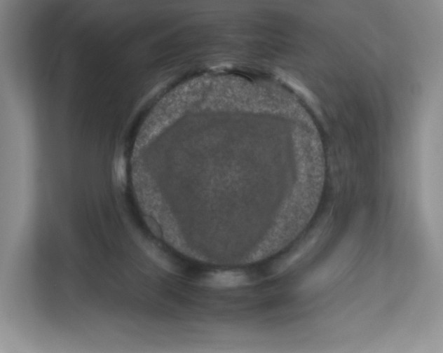 X0000111190067200907291212