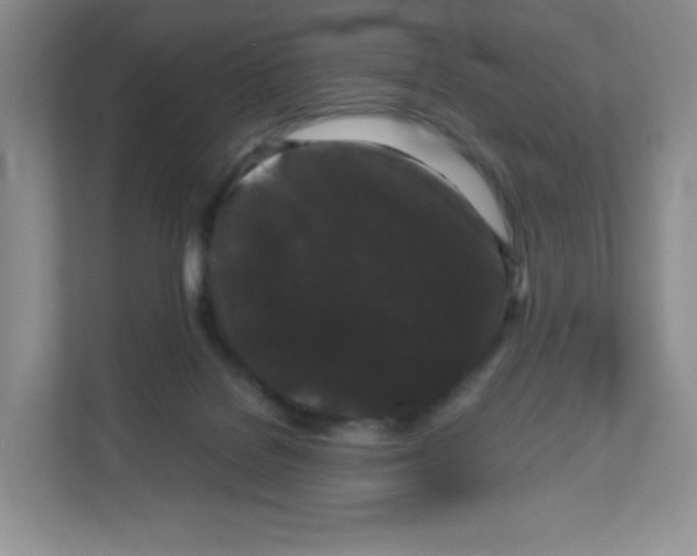 X0000111190076200907291212