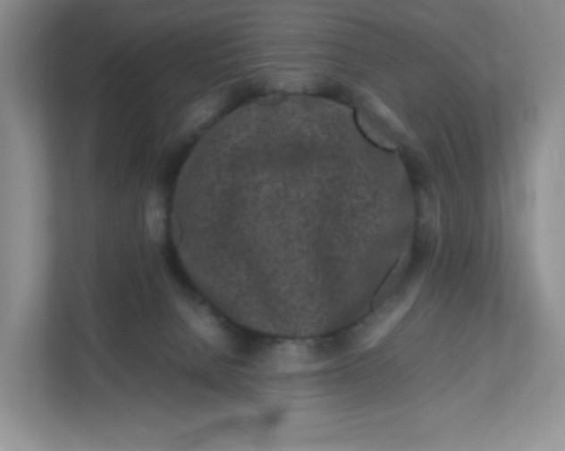 X0000111190080200907291212