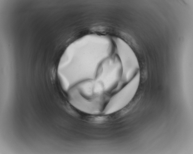 X0000111190081200907291212
