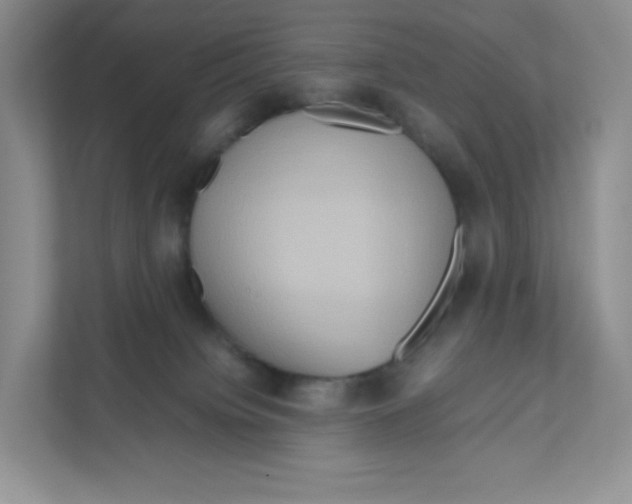 X0000111190084200907291212