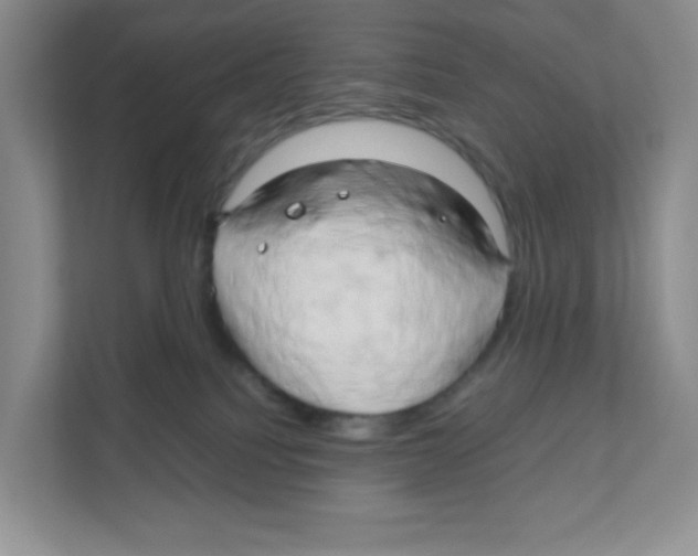 X0000111190088200907291212