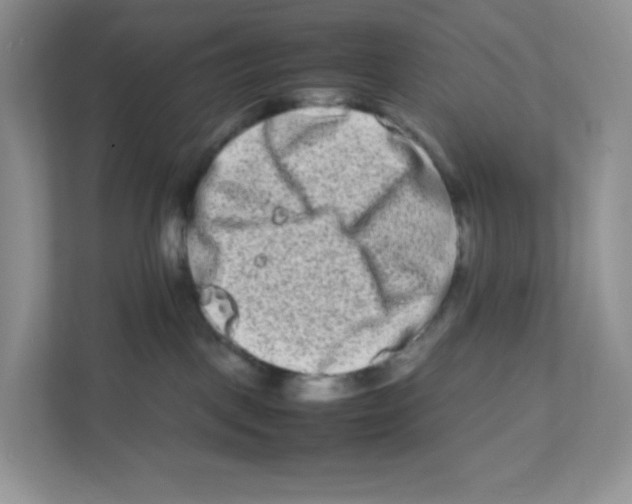 X0000111190093200907291212