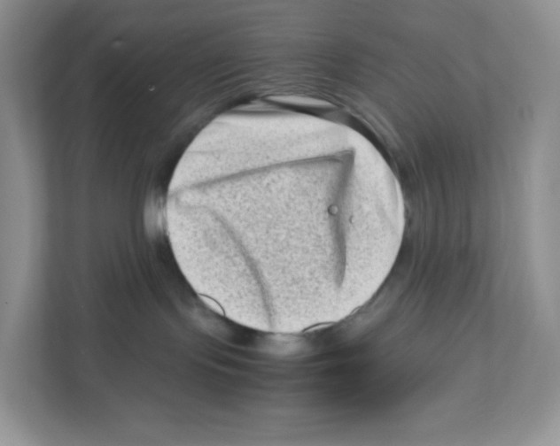 X0000111190095200907291212