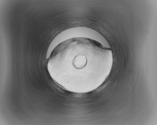 X0000111190096200907291212