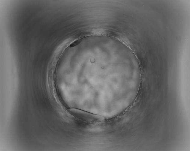 X0000111190097200907291212