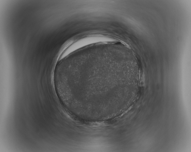 X0000111190099200907291212