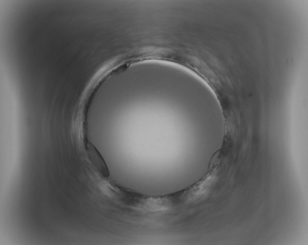 X0000111190101200907291212