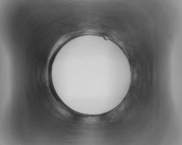 X0000111190102200907291212