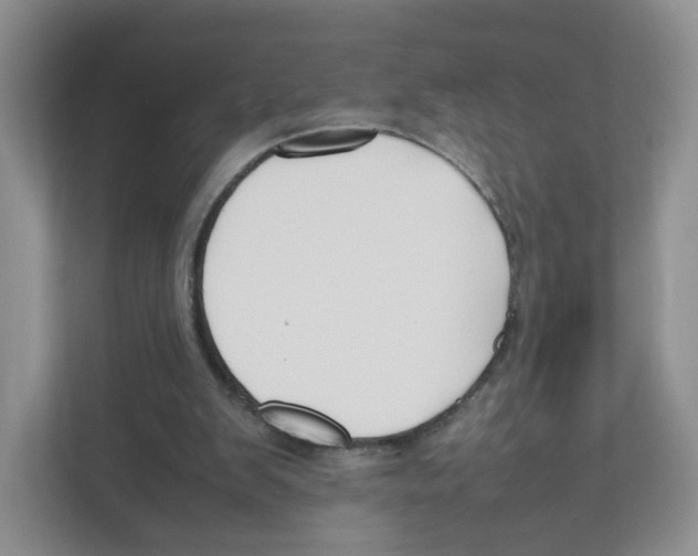 X0000111190103200907291212