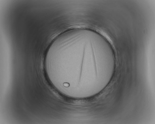 X0000111190105200907291212