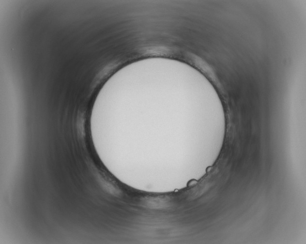 X0000111190106200907291212