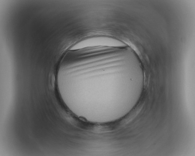X0000111190109200907291212