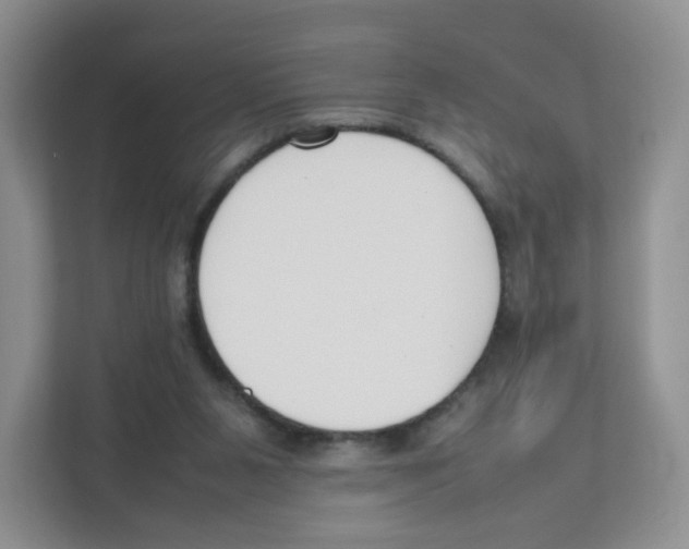 X0000111190111200907291212