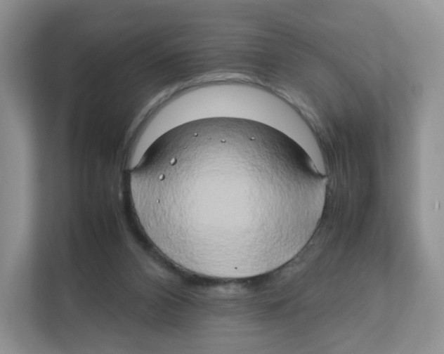 X0000111190112200907291212