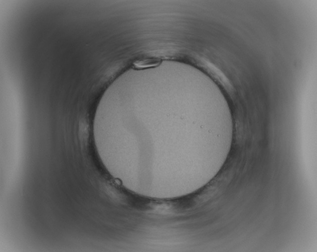 X0000111190113200907291212