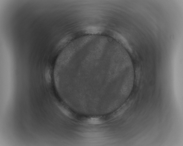 X0000111190114200907291212