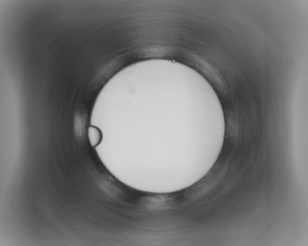 X0000111190118200907291212