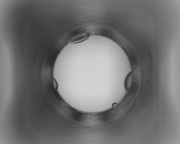 X0000111190121200907291212
