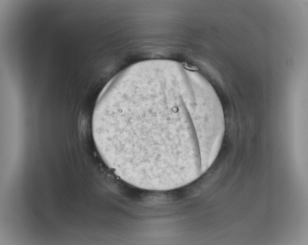 X0000111190123200907291211