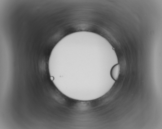X0000111190126200907291211