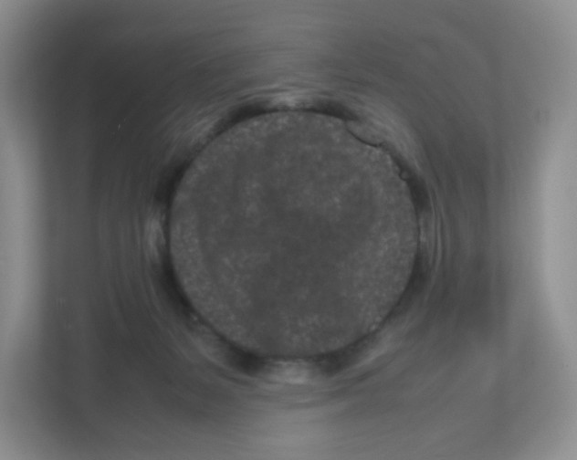 X0000111190127200907291211