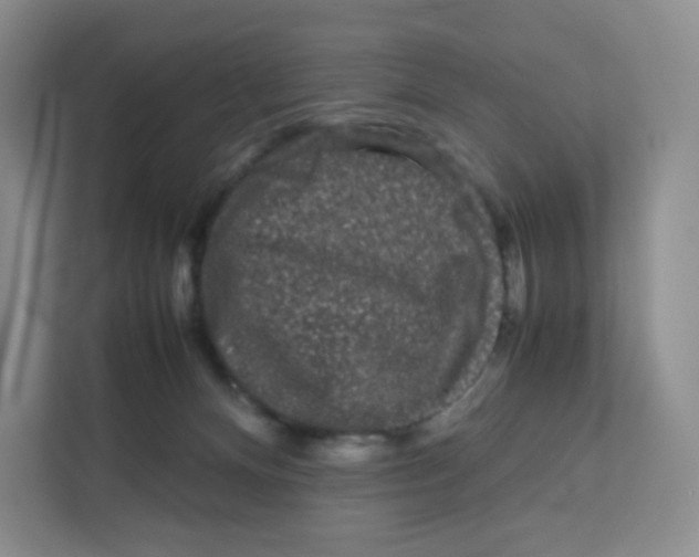 X0000111190128200907291211