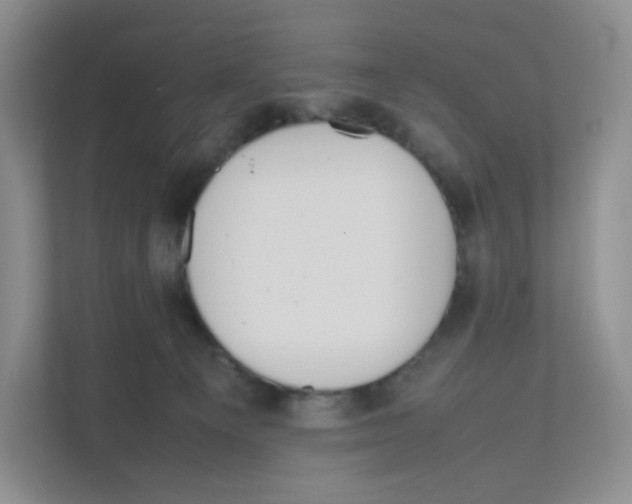 X0000111190129200907291211