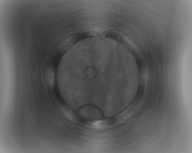 X0000111190130200907291211