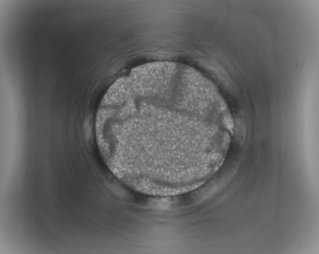 X0000111190131200907291211