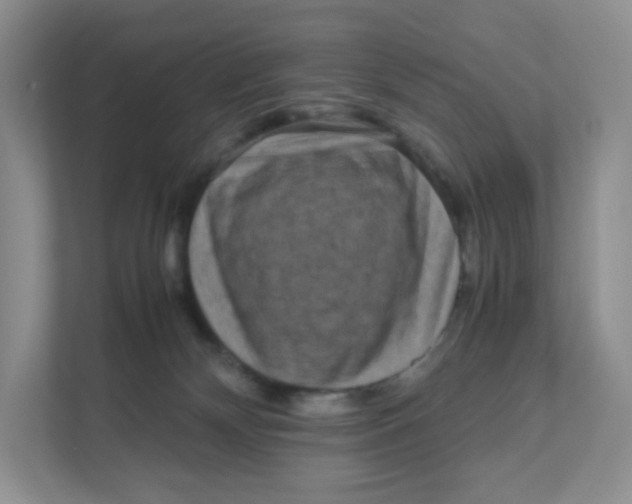 X0000111190132200907291211