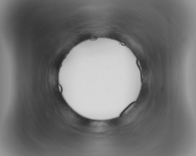 X0000111190133200907291211