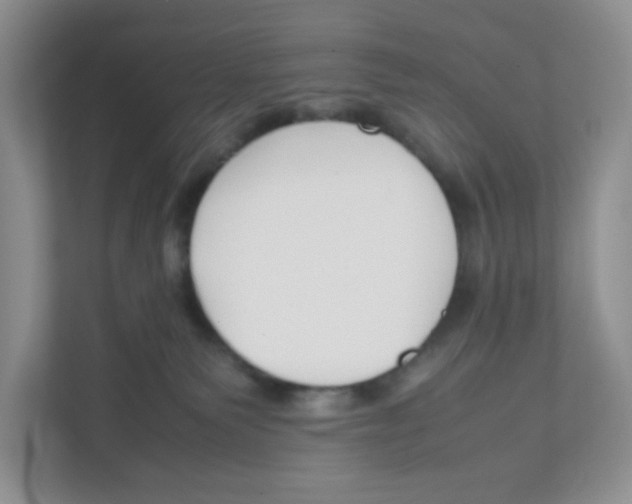 X0000111190135200907291211