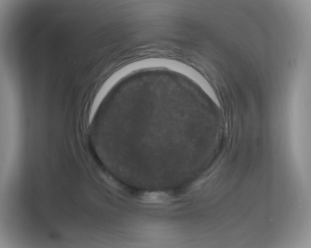 X0000111190137200907291211