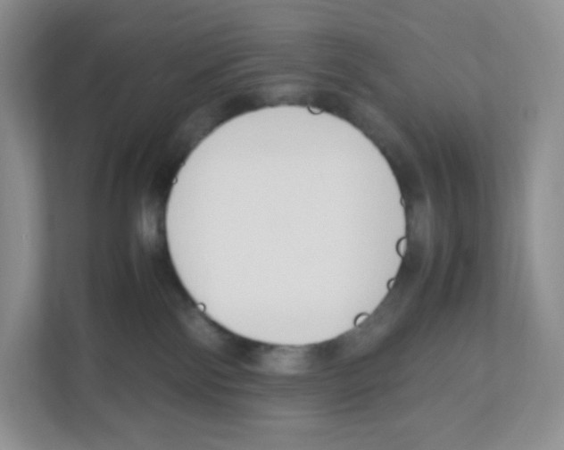 X0000111190138200907291211