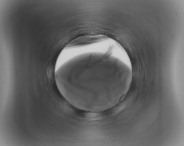 X0000111190139200907291211