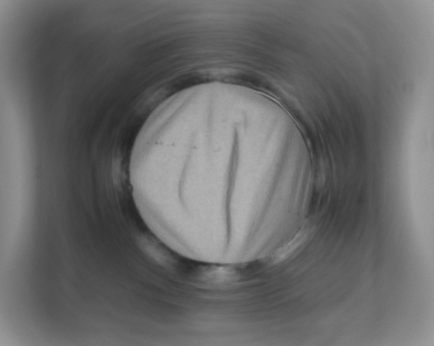 X0000111190140200907291211