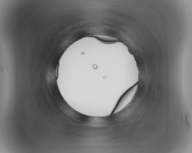 X0000111190141200907291211