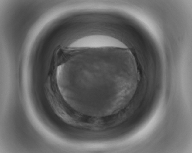 X0000111190143200907291211