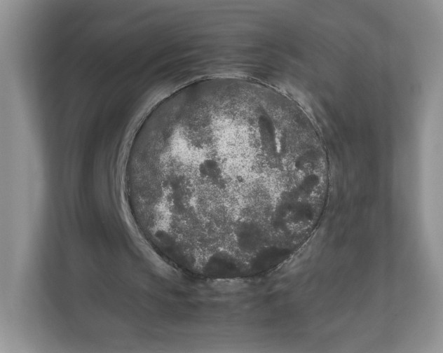 X0000111190145200907291211