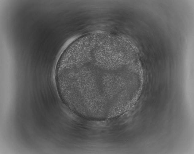 X0000111190147200907291211