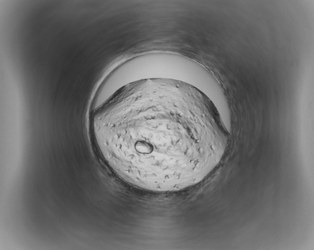 X0000111190148200907291211