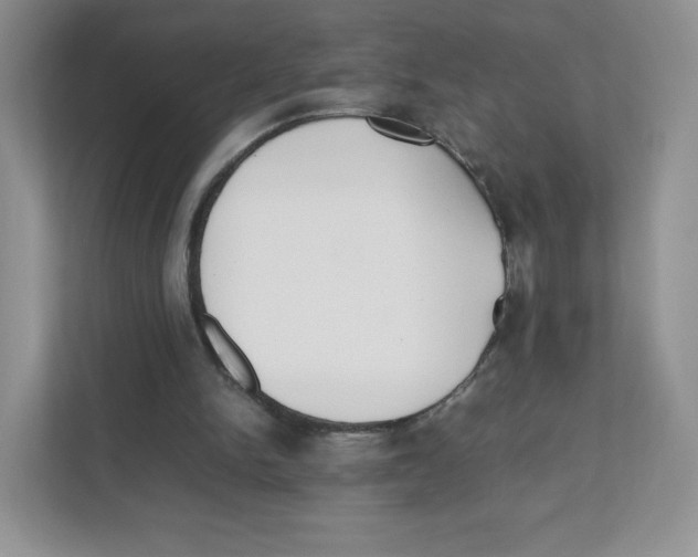 X0000111190150200907291211