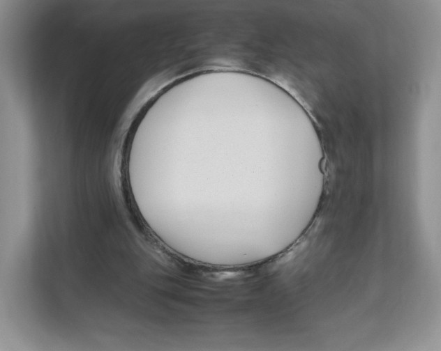 X0000111190151200907291211