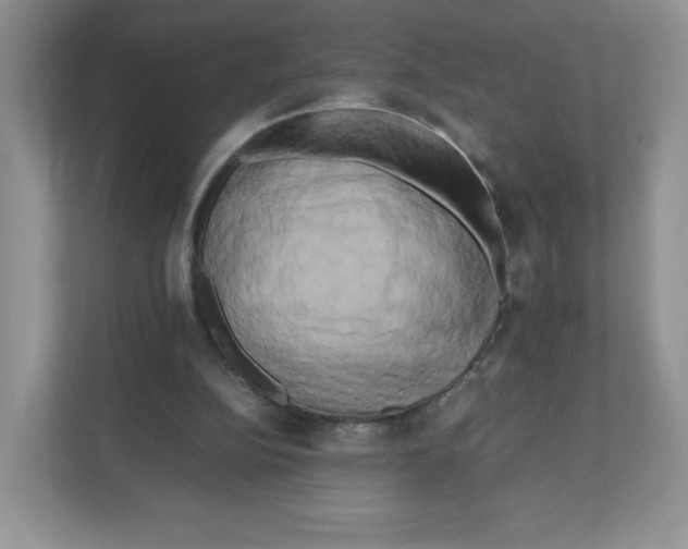 X0000111190152200907291211